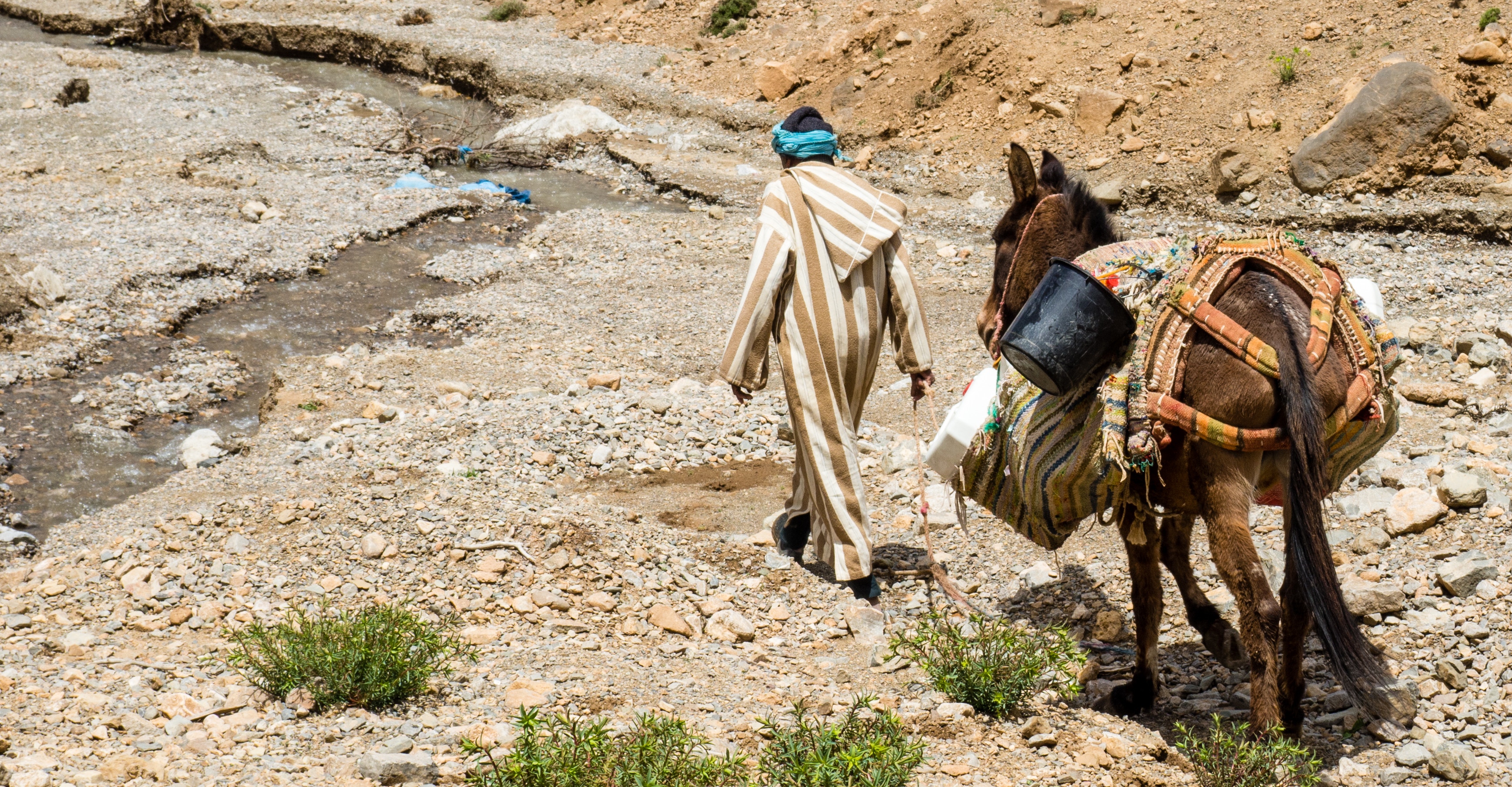 Berber carrying load up mountain